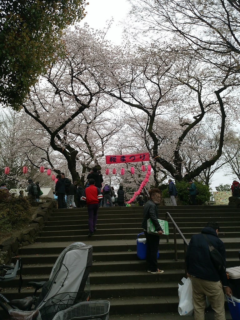 中野通り桜祭り